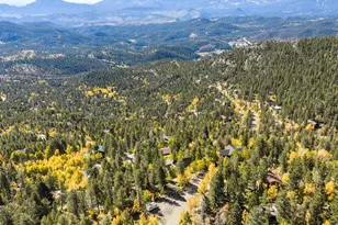 11630 Baca Rd, Conifer, CO 80433 - Photo 47