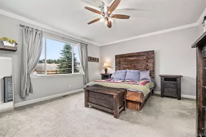 6749 Mentha Drive, Castle Rock, CO 80108 - Photo 21