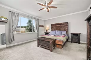 6749 Mentha Dr, Castle Rock, CO 80108 - Photo 21