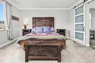 6749 Mentha Dr, Castle Rock, CO 80108 - Photo 23