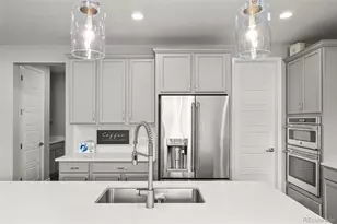 6749 Mentha Dr, Castle Rock, CO 80108 - Photo 7