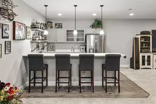 6749 Mentha Dr, Castle Rock, CO 80108 - Photo 37