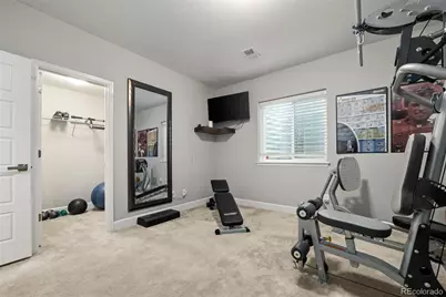 6749 Mentha Drive, Castle Rock, CO 80108 - Photo 47