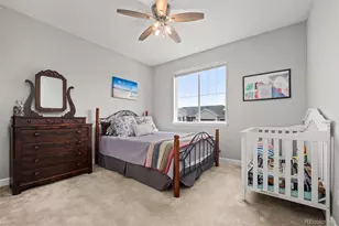 6749 Mentha Dr, Castle Rock, CO 80108 - Photo 31