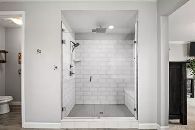 6749 Mentha Drive, Castle Rock, CO 80108 - Photo 29