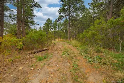 14420 S Perry Park Road, Larkspur, CO 80118 - Photo 3