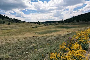 55 Jay Ct, Hartsel, CO 80449 - Photo 1