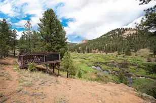 16774 Pine Valley Rd, Pine, CO 80470 - Photo 37