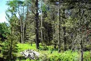 Lot 1882, Fort Garland, CO 81133 - Photo 1