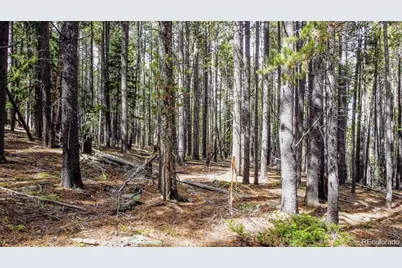 000 Sawmill Lane, Idaho Springs, CO 80452 - Photo 13