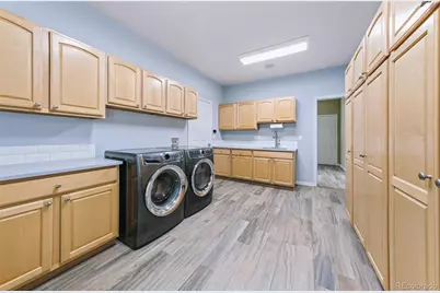 11002 Puma Cliff, Lone Tree, CO 80124 - Photo 15