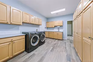 11002 Puma Cliff, Lone Tree, CO 80124 - Photo 15