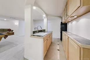 11002 Puma Cliff, Lone Tree, CO 80124 - Photo 29