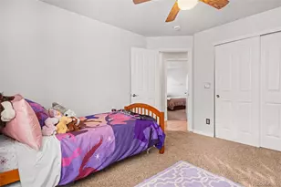 10370 Longleaf Dr, Parker, CO 80134 - Photo 29