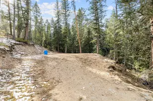 33755 Columbine Cir, Evergreen, CO 80439 - Photo 19