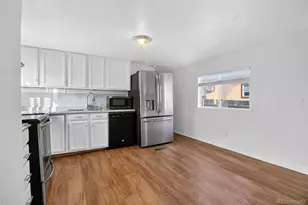 4903 E 96th Pl, Denver, CO 80229 - Photo 5