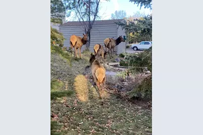 23660 Pondview Place #E, Golden, CO 80401 - Photo 25