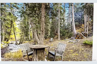 7739 County Road 43, Bailey, CO 80421 - Photo 37