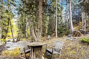 7739 Co Rd 43, Bailey, CO 80421 - Photo 37
