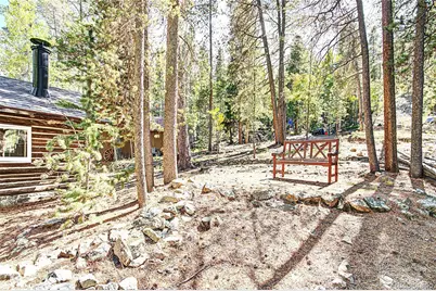 7739 County Road 43, Bailey, CO 80421 - Photo 9