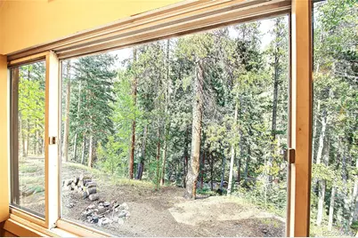 7739 County Road 43, Bailey, CO 80421 - Photo 11