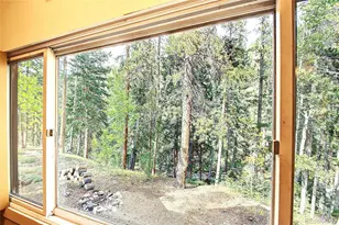 7739 Co Rd 43, Bailey, CO 80421 - Photo 11