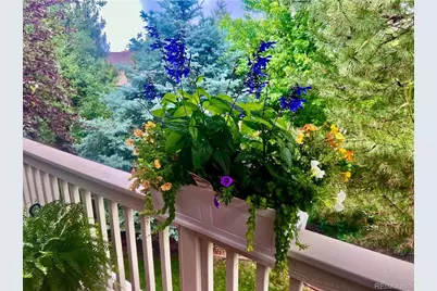 25045 E Park Crescent Drive, Aurora, CO 80016 - Photo 43