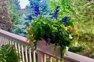 25045 E Park Crescent Dr, Aurora, CO 80016 - Photo 43