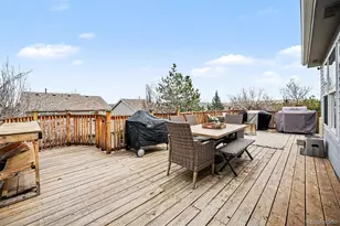 9704 Marmot Ridge Cir, Littleton, CO 80125 - Photo 19