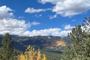 95 Appleby St, Bailey, CO 80421 - Photo 31