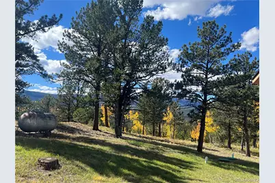 95 Appleby Street, Bailey, CO 80421 - Photo 29