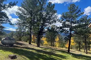 95 Appleby St, Bailey, CO 80421 - Photo 29