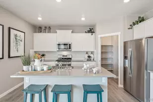 14596 Beebalm Ave, Parker, CO 80134 - Photo 11