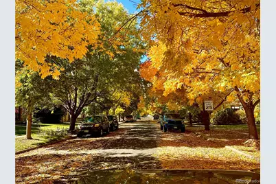 203 Hubbell Street, Berthoud, CO 80513 - Photo 43