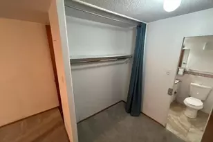 610 S Clinton St, Denver, CO 80247 - Photo 9