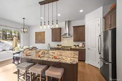 1240 Kenosha Drive, Larkspur, CO 80118 - Photo 11