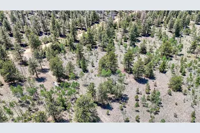 2338 Fitzsimmons Road, Hartsel, CO 80449 - Photo 9