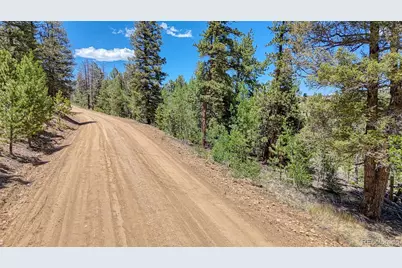 2338 Fitzsimmons Road, Hartsel, CO 80449 - Photo 3