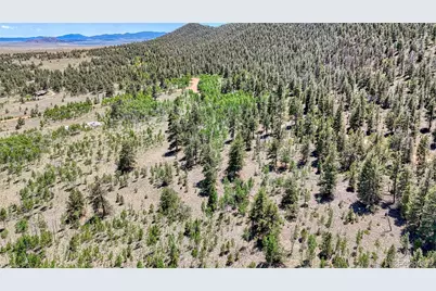 2338 Fitzsimmons Road, Hartsel, CO 80449 - Photo 11