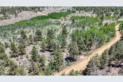 2338 Fitzsimmons Road, Hartsel, CO 80449 - Photo 7