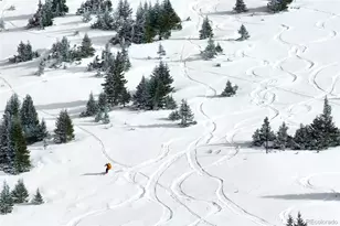 [Address not provided], Empire, CO 80438 - Photo 39