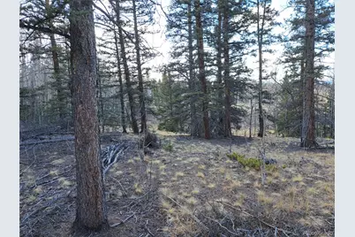 1059 Piaute Way, Jefferson, CO 80456 - Photo 11