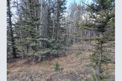 1059 Piaute Way, Jefferson, CO 80456 - Photo 3