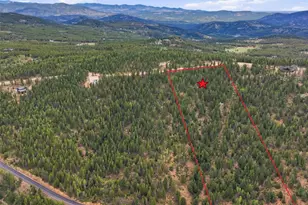 31004 Forest Shadow Trl, Conifer, CO 80433 - Photo 11