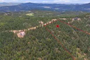 31004 Forest Shadow Trl, Conifer, CO 80433 - Photo 13