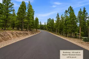 31004 Forest Shadow Trl, Conifer, CO 80433 - Photo 25
