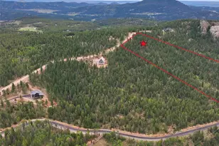 31004 Forest Shadow Trl, Conifer, CO 80433 - Photo 15