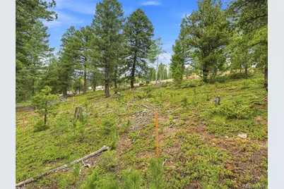 31004 Forest Shadow Trail, Conifer, CO 80433 - Photo 21