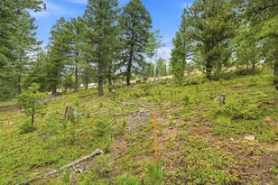 31004 Forest Shadow Trl, Conifer, CO 80433 - Photo 21