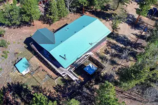 81 Fir Ln, Bailey, CO 80421 - Photo 5